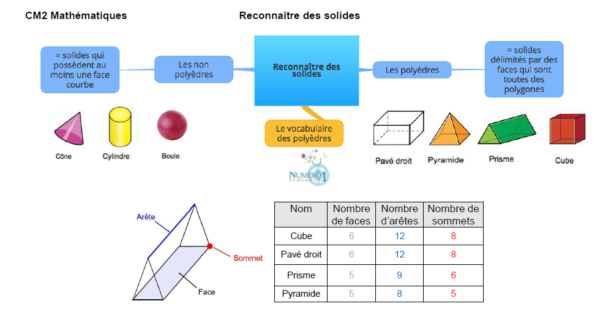 Reconna Tre Des Solides Le On Et Exercices Cm