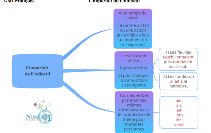 Fran Ais Cm Cours Gratuits Cartes Mentales Et Exercices