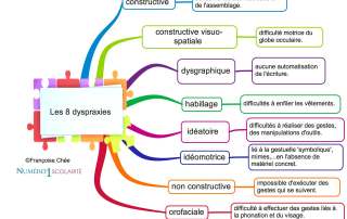 Dyspraxie symptômes : les différentes dyspraxies