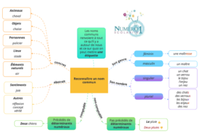 Reconnaitre Un Nom Commun 6eme Lecon Et Exercices