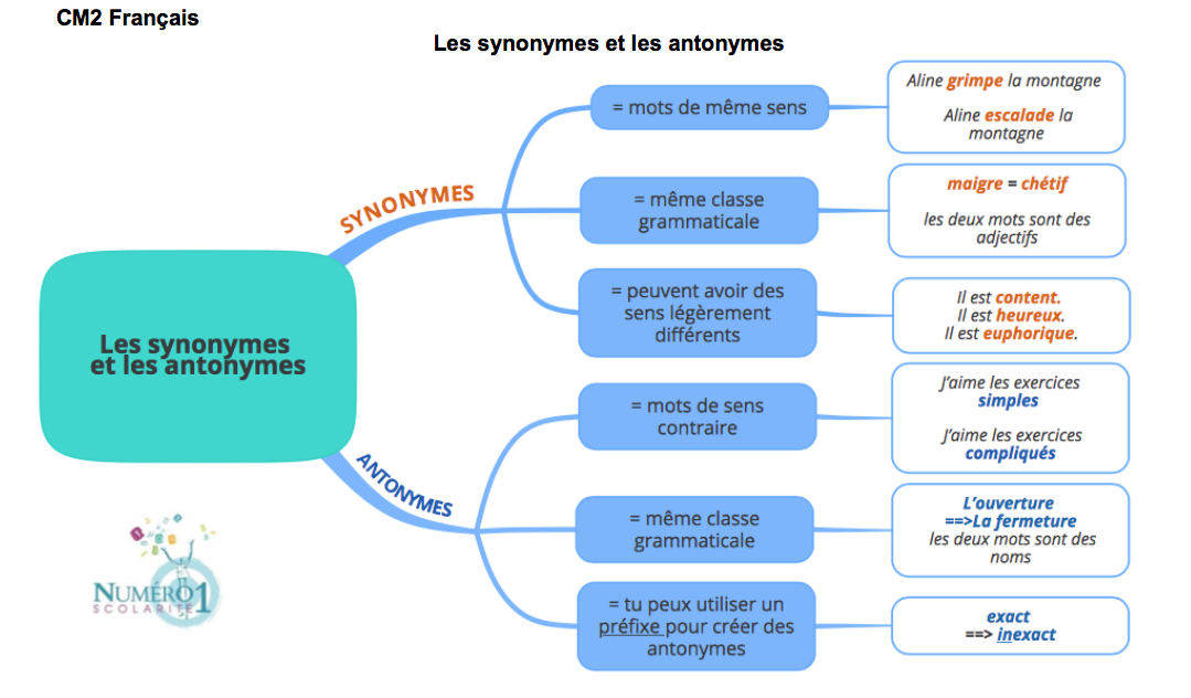 Les Synonymes Et Les Antonymes Le on Et Exercices CM2