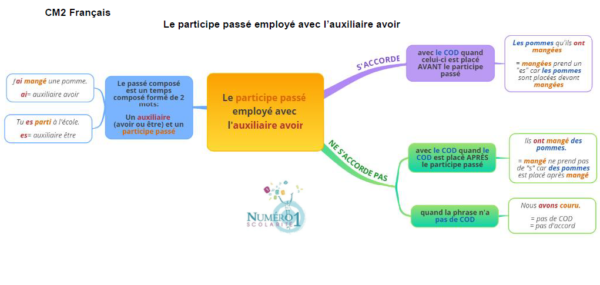 Le participe passé employé avec l auxiliaire avoir leçon et exercices CM