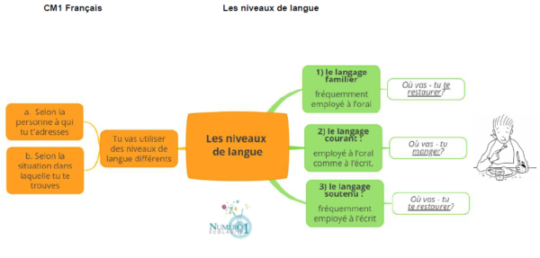 Les Niveaux De Langue Leçon Et Exercices Cm1 8082