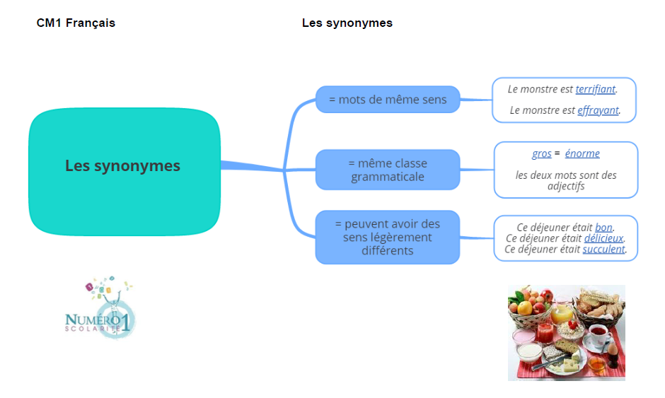 Les Synonymes Le on Et Exercices CM1