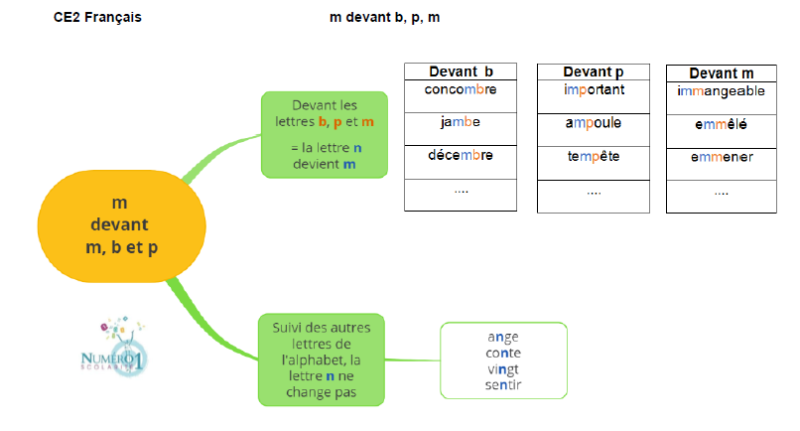 M Devant M,b Et P : Leçon Et Exercices CE2